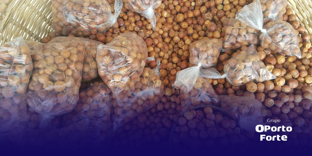 4 Unique business opportunities in Senegal