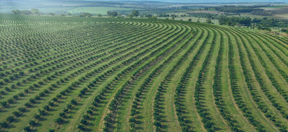 Asia Dominates Brazilian Agribusiness Imports
