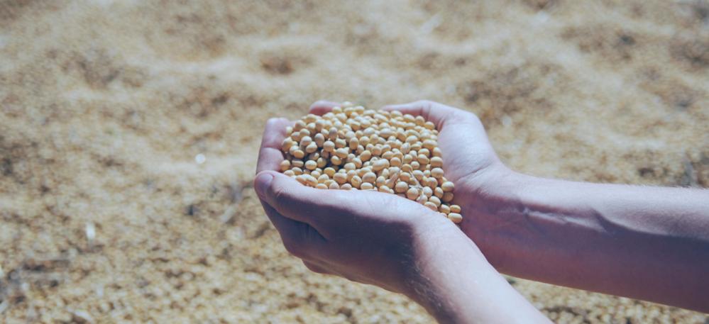 Agro-Success: West Africa's Agricultural Revolution.