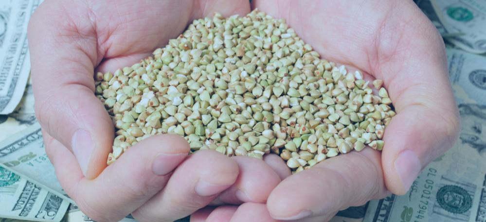 United Arab Emirates doubles imports from Brazilian agribusiness in 2023