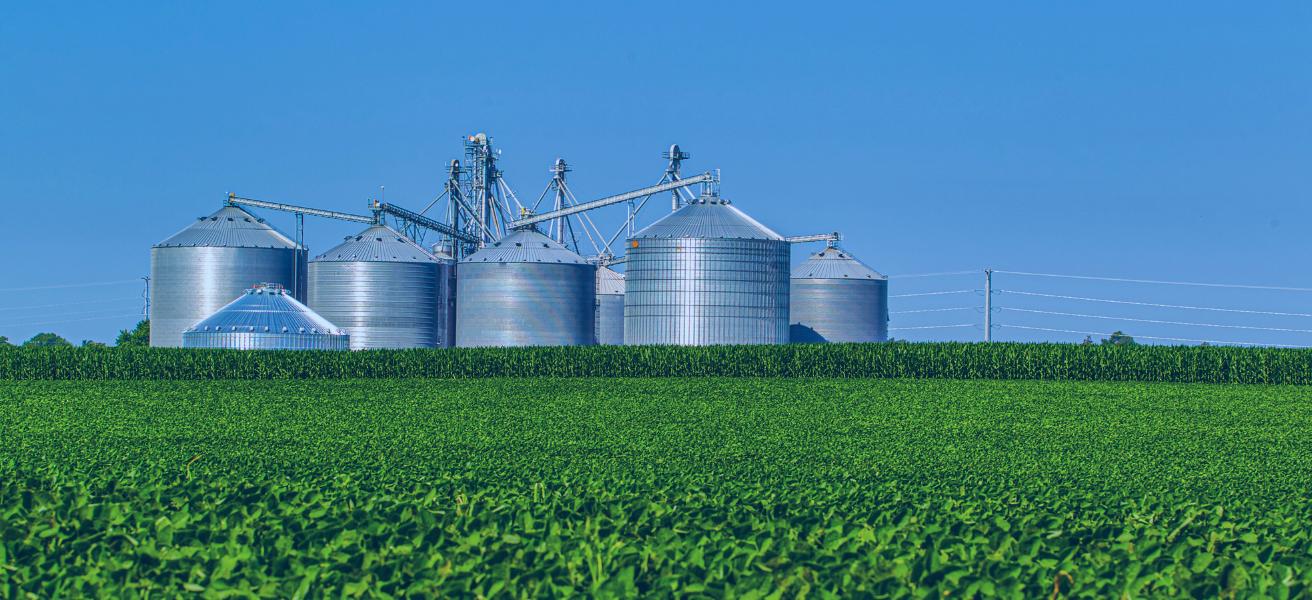 4 Investimentos em Agronegócio para o Primeiro Semestre deste Ano!
