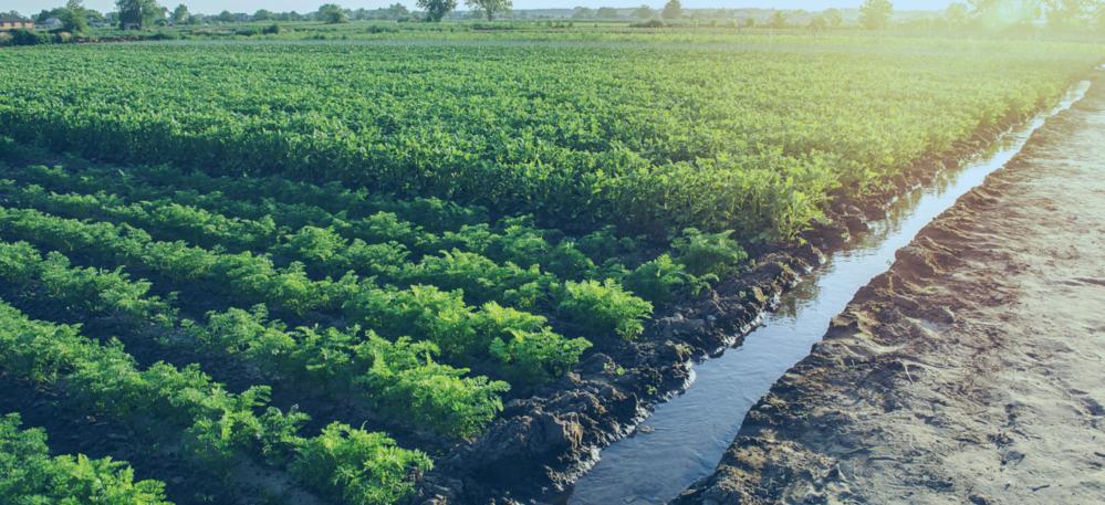 European Union is the second largest Importer of Brazilian Agribusiness