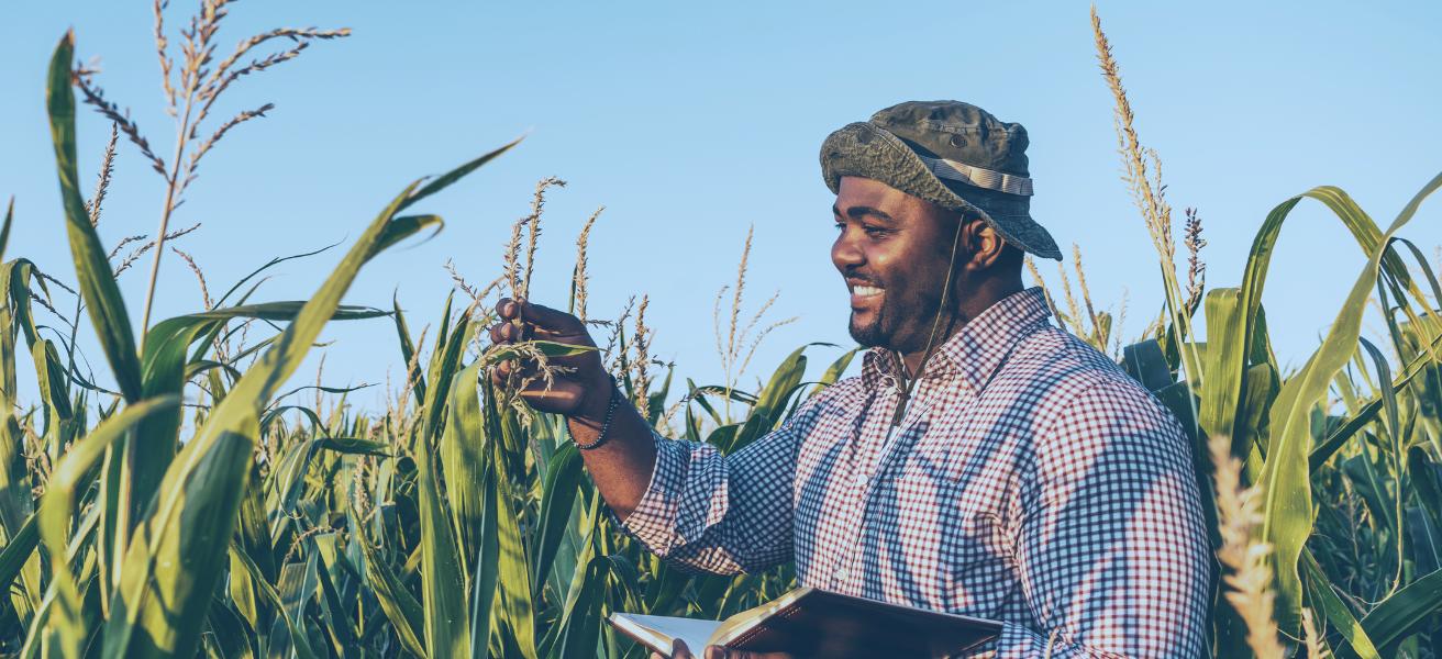 Expansão da Cooperação Brasil & Senegal: Foco em Defesa e Agricultura