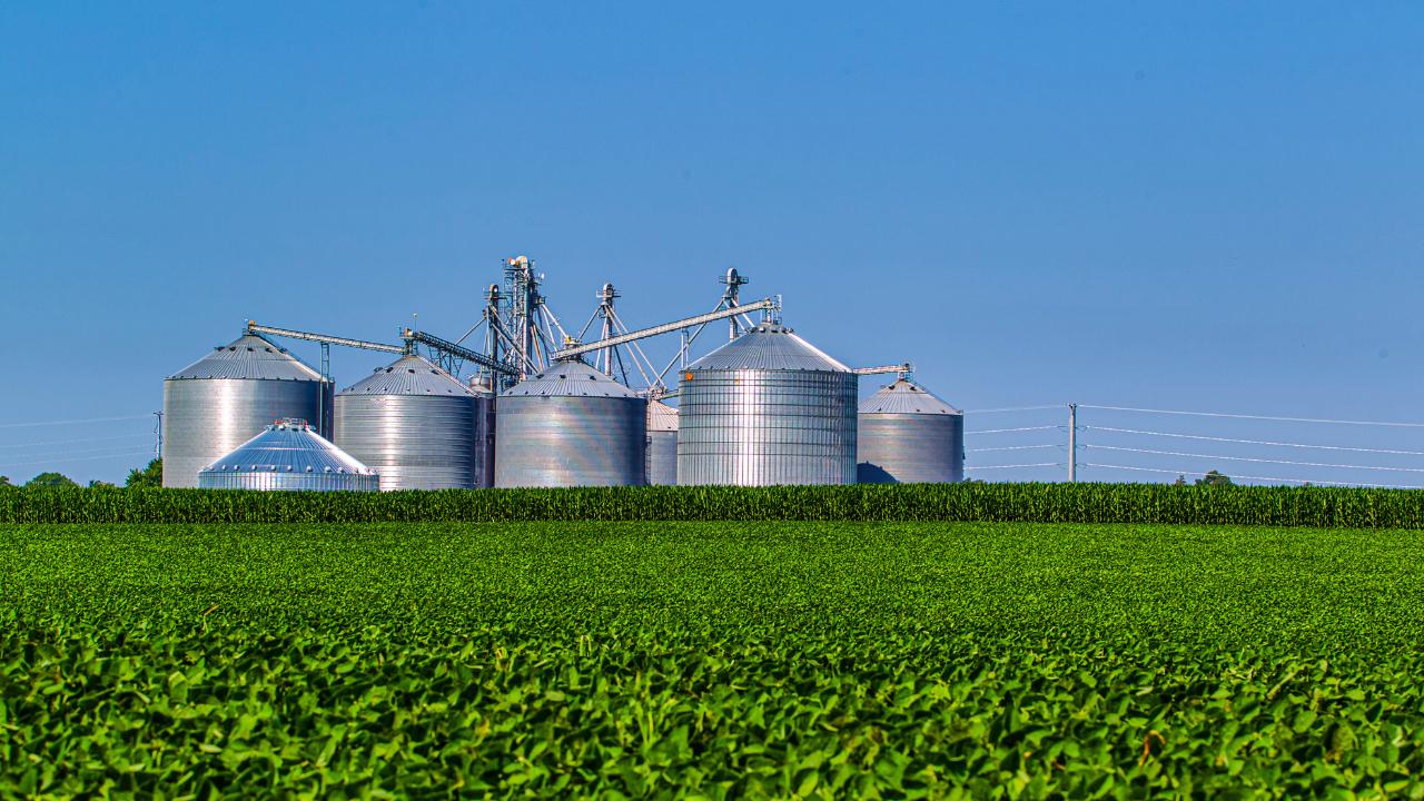 Agronegócio no Senegal e Costa do Marfim